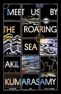 Meet Us by the Roaring Sea: A Novel cover image